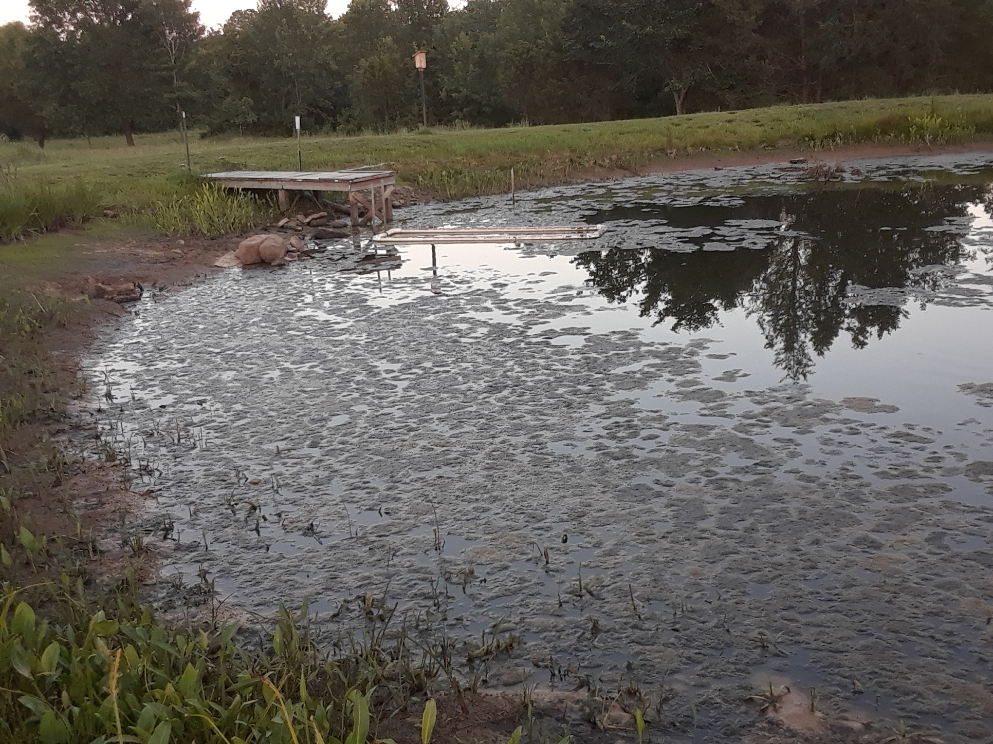 Attached picture leaking pond.jpg